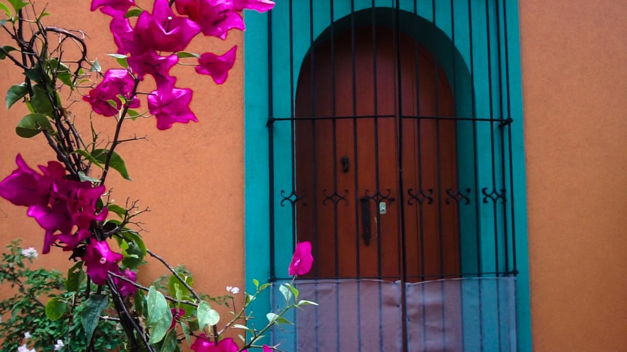 Casa Frida B&B Oaxaca Exterior photo